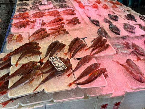 Nakaminato Fish Market-常陆那珂市必去景点