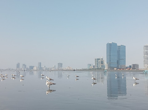 Clifton Beach-卡拉奇必去景点