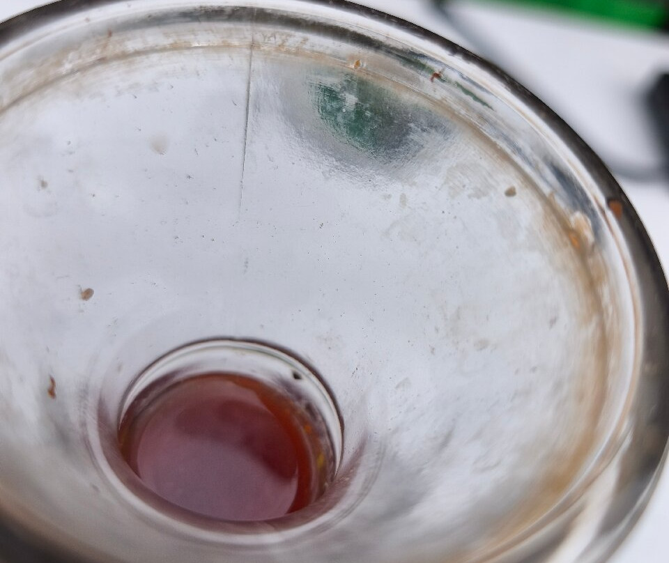 Gluten Free 100%bio Restaurant主图