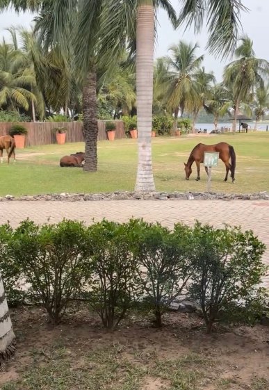 Aqua Safari Resort-浴室