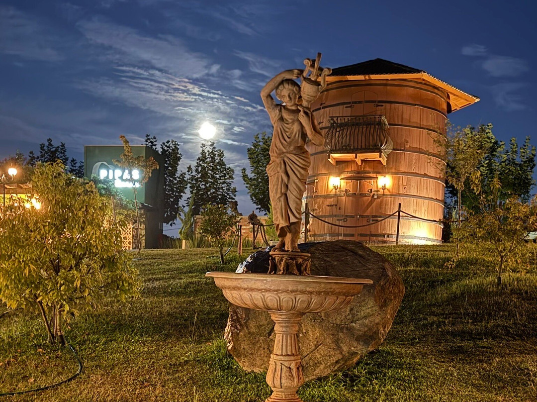 Pipas Terroir Pousada主图