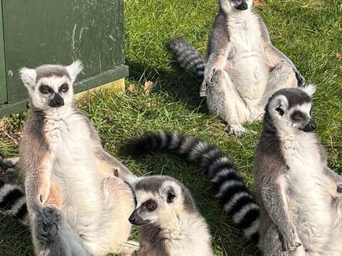 Landgoed Hoenderdaell-Anna Paulowna必去景点