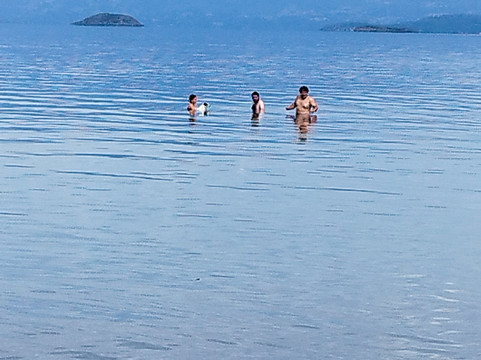 Bahia Coique-Futrono必去景点