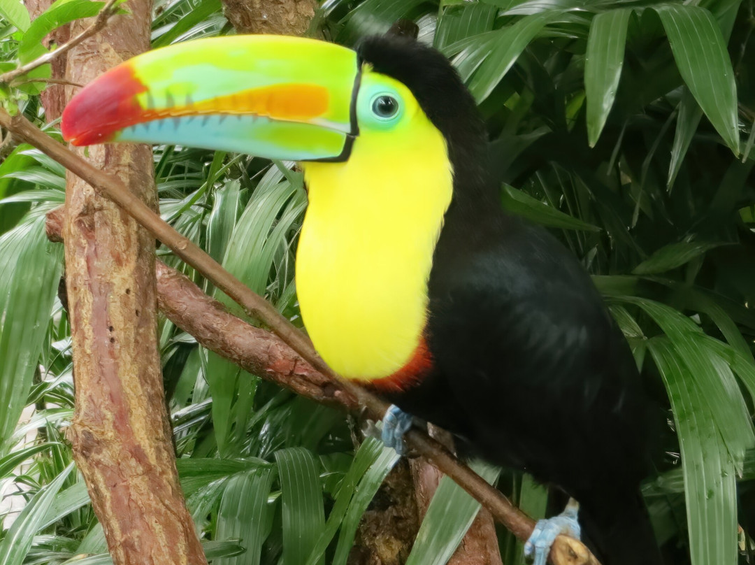 Finca Ecologica San Luis-蒙特沃德必去景点