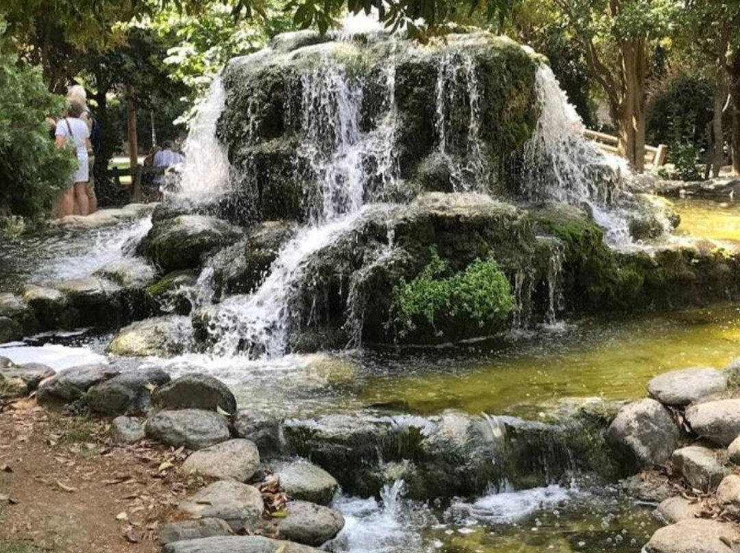 City Park