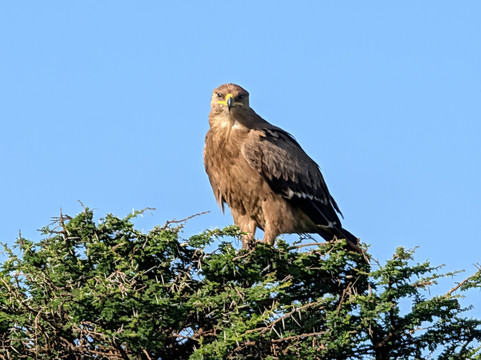 Safaris-R-Us-阿鲁沙必去景点