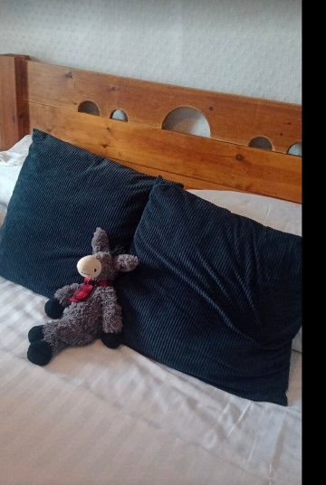 湾马乡村旅馆-官方