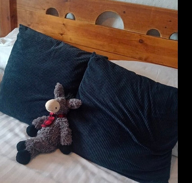 湾马乡村旅馆主图