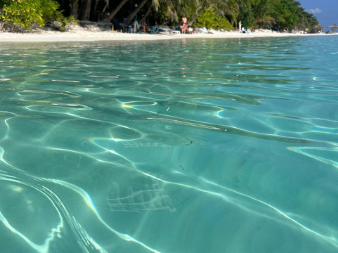 Papa Fish Excursions-乌库拉斯必去景点