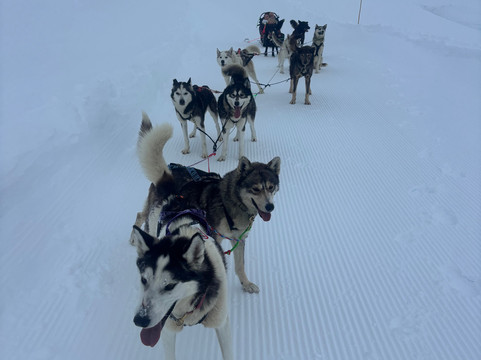 Alpi Traineau-Orcieres必去景点