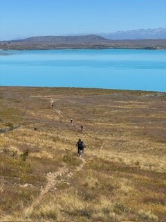 Tekapo Adventures-基督城必去景点