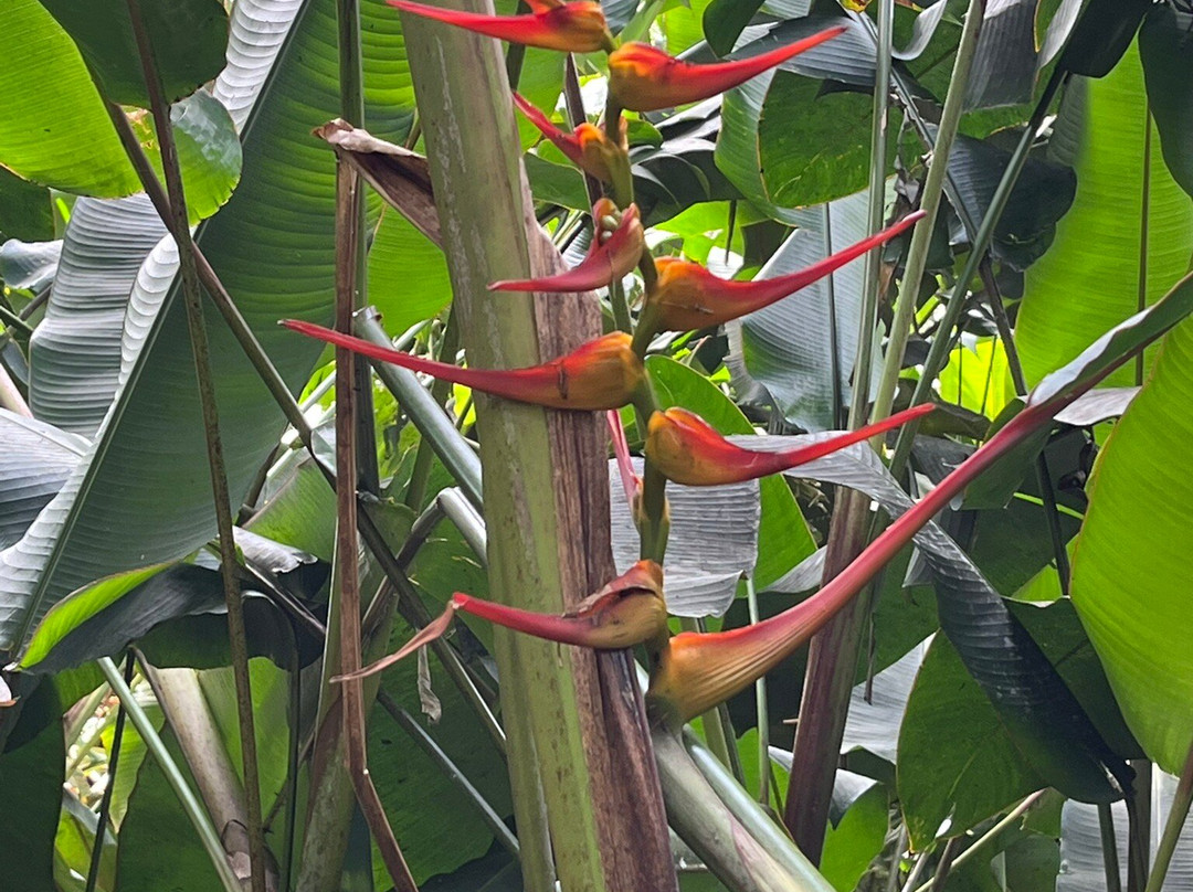 The Kings Gardens Maui-Huelo必去景点