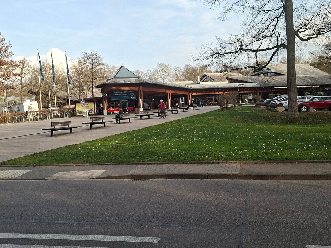 Keidel Mineral-Thermalbad-佛莱堡必去景点