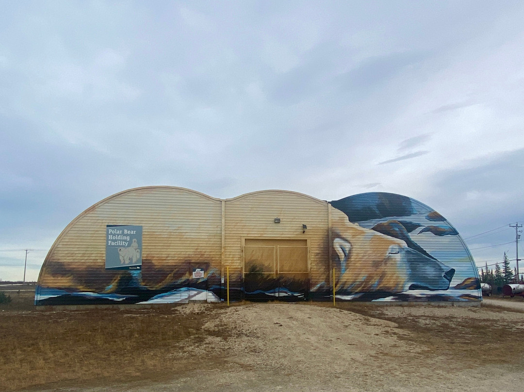 Polar Bear Holding facility-丘吉尔必去景点