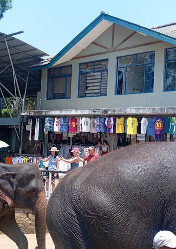 Sri Shannon Tours-尼甘布必去景点