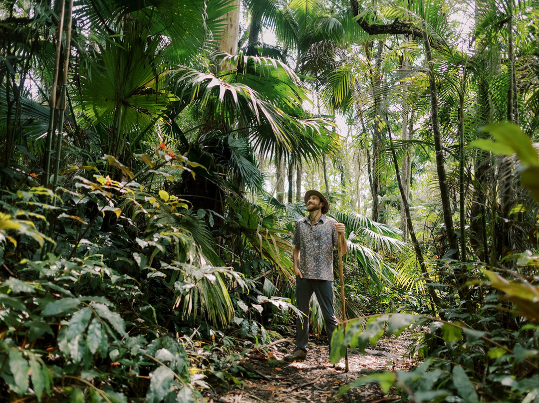Kona Cloud Forest Sanctuary-凯鲁瓦-柯纳必去景点