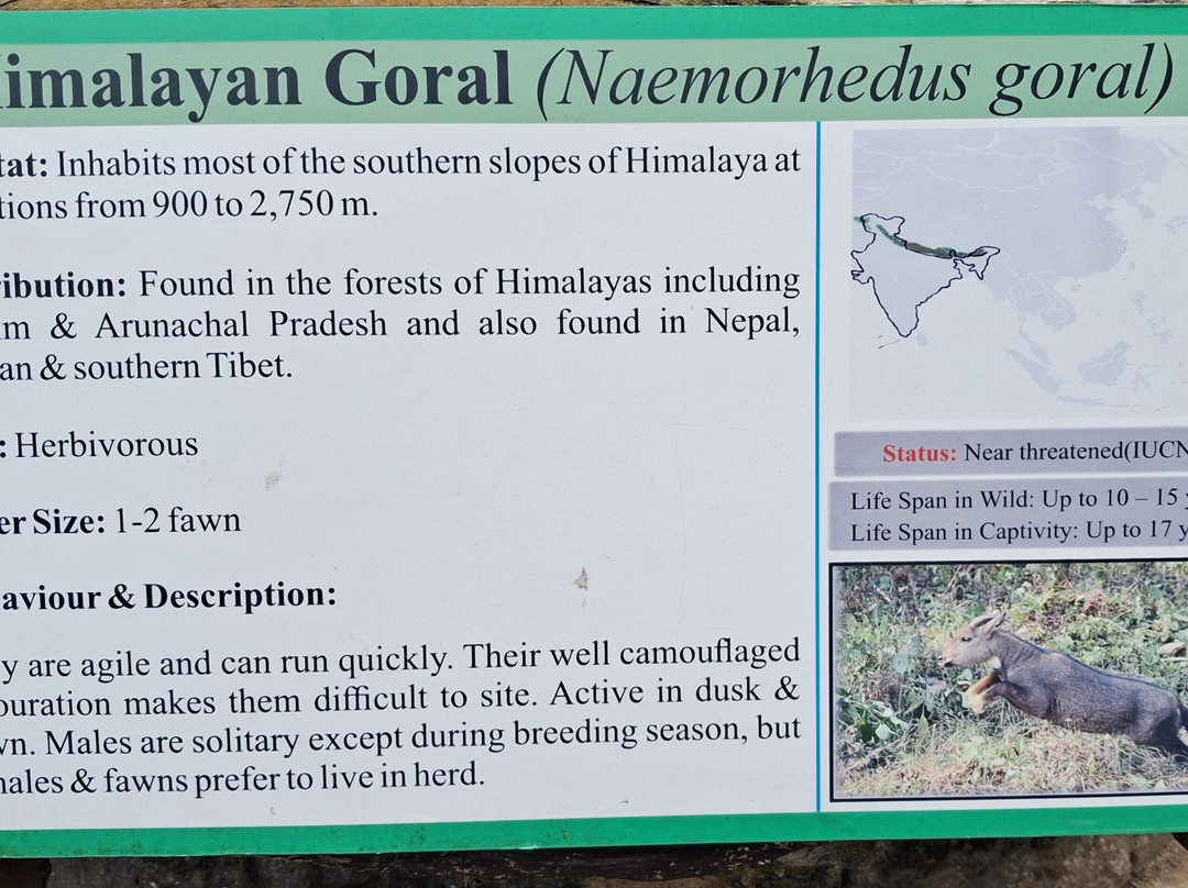 Padmaja Naidu Himalayan Zoological Park-大吉岭必去景点