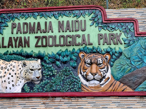 Padmaja Naidu Himalayan Zoological Park-大吉岭必去景点