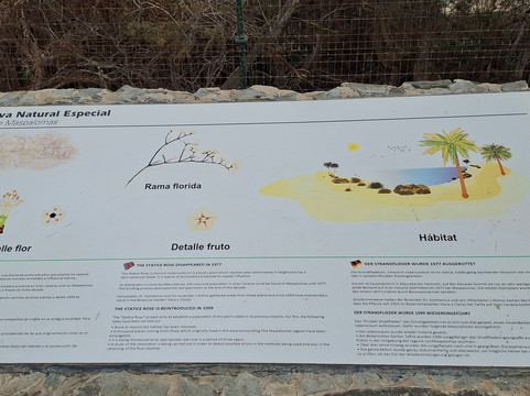 La Charca-马斯帕洛马斯必去景点