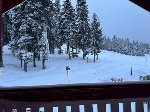 阿尔卑斯酒店主图