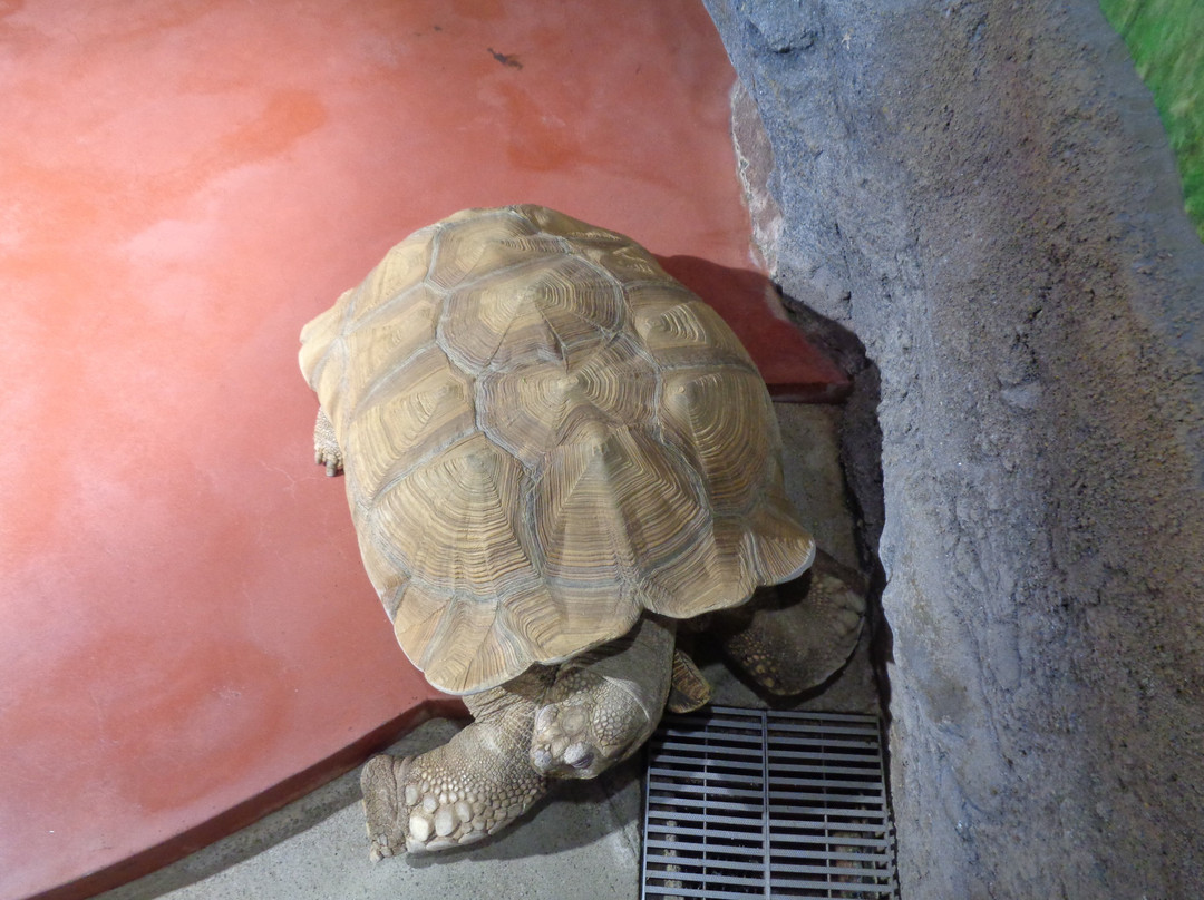 Himeji City Aquarium-姬路市必去景点