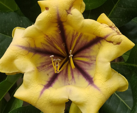 香颂秘密花园-马拉喀什必去景点