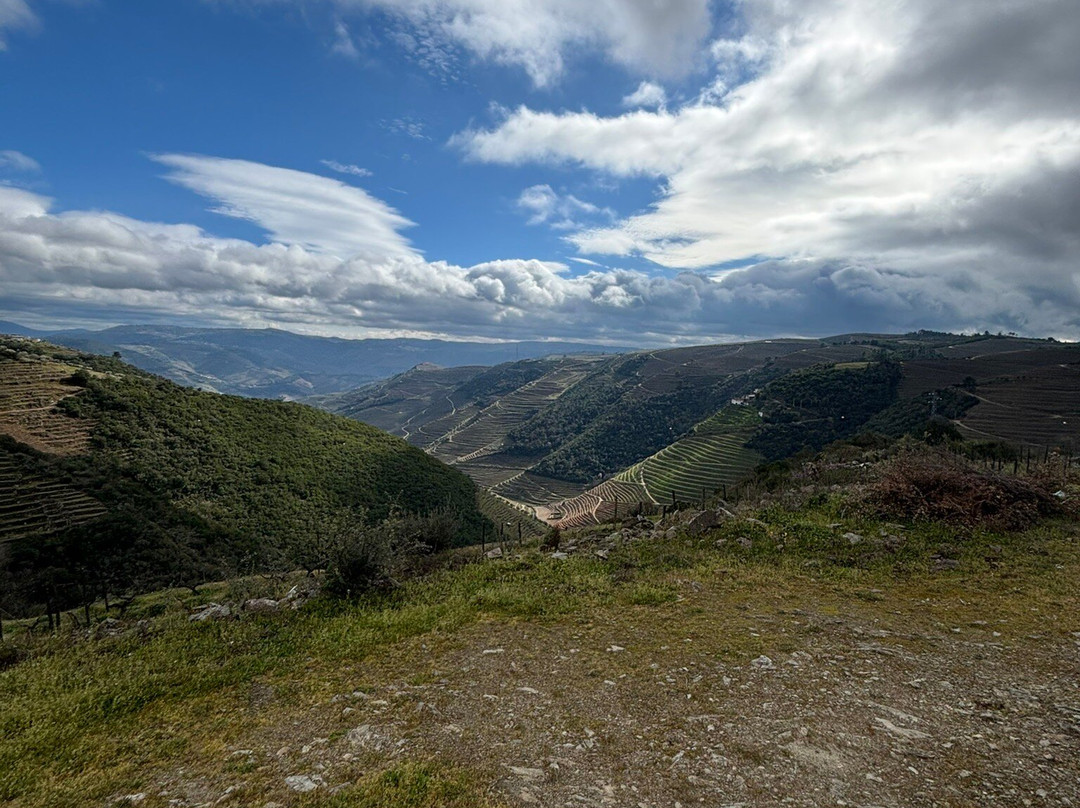 Quinta do Roncão-Vila Real必去景点