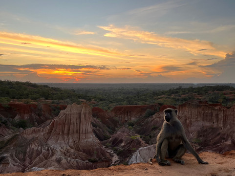 Jjc Adventure Kenya-Gede必去景点