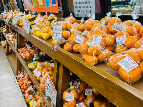 Michi-no-Eki Tara-太良町必去景点