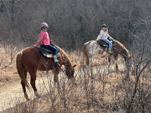 Christine's Horseback Riding-卡尼必去景点