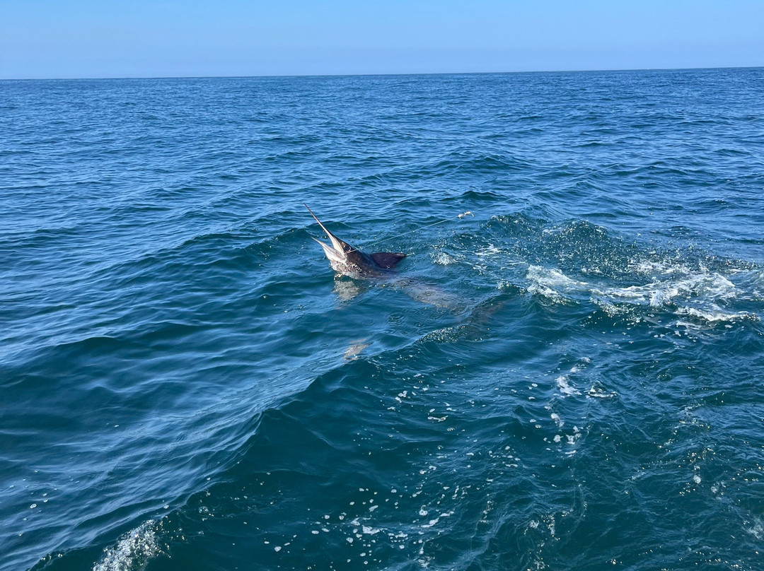 Fishing With Tico Huatulco-Crucecita必去景点