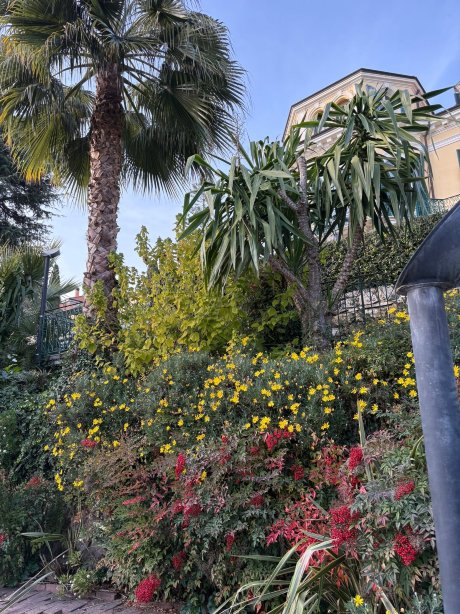 西尔华别墅水疗酒店-HD SRL-官方