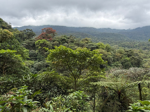 Rio Celeste Blue Adventures-Tenorio Volcano National Park必去景点