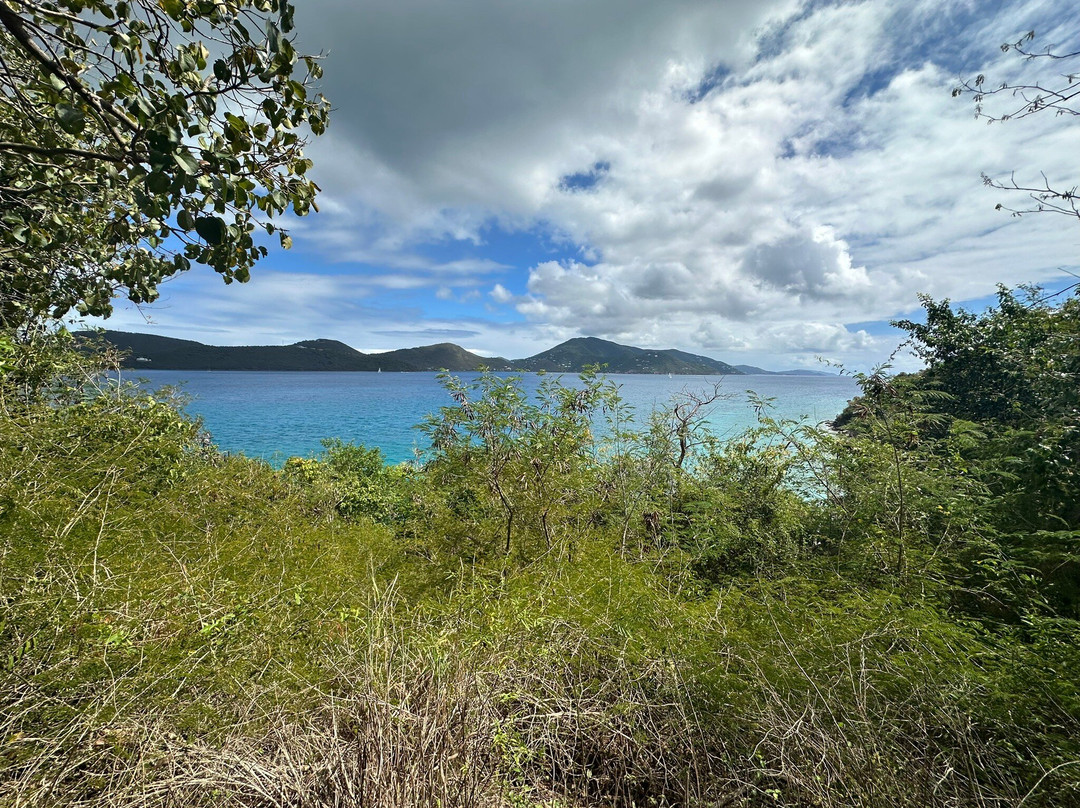 Brown Bay Trail-圣约翰必去景点