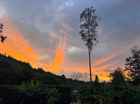 小屋生态酒店主图