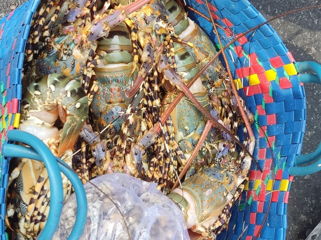 富国市场-扬东必去景点