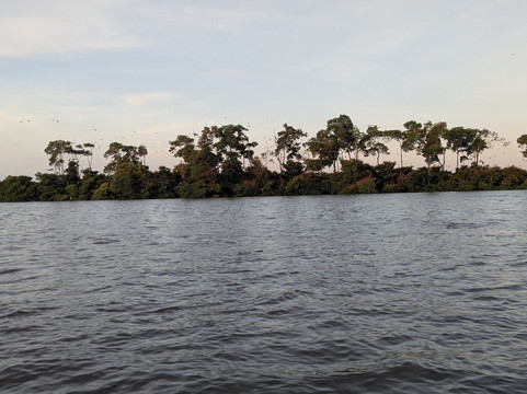 Guará Transfer & Tourism - Barra Grande-Barra Grande必去景点