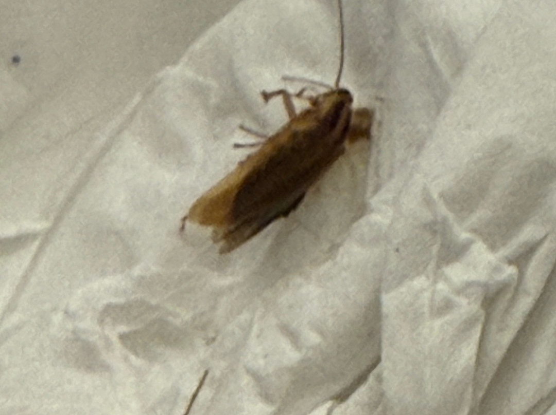 纽瓦克机场希尔顿欢朋酒店主图