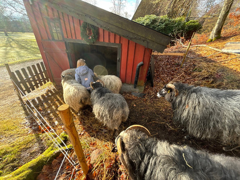 索斯歌思斯洛特酒店主图