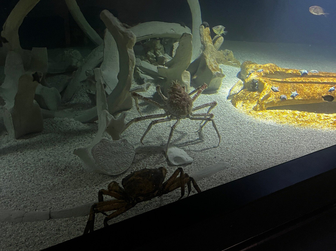 Aquarium de Lyon-La Mulatiere必去景点