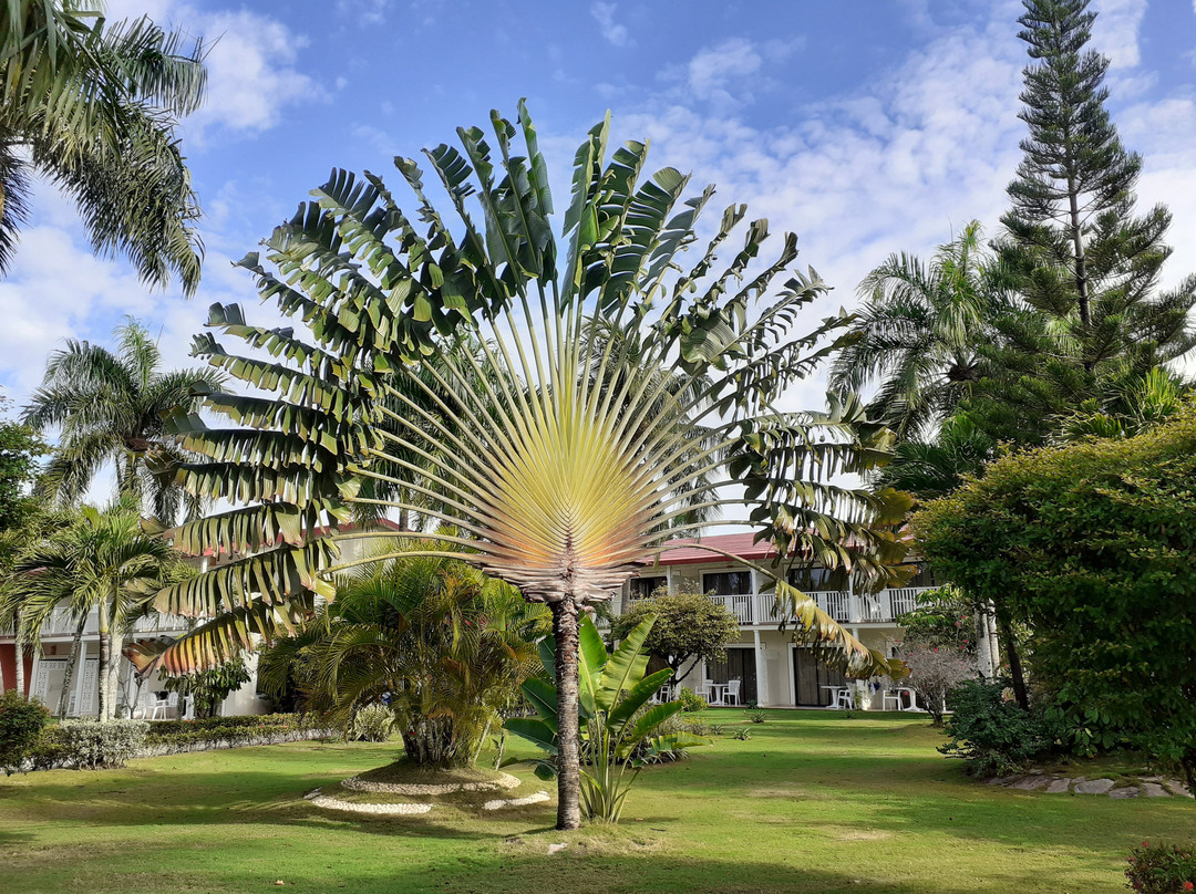 Bahía principe la Romana