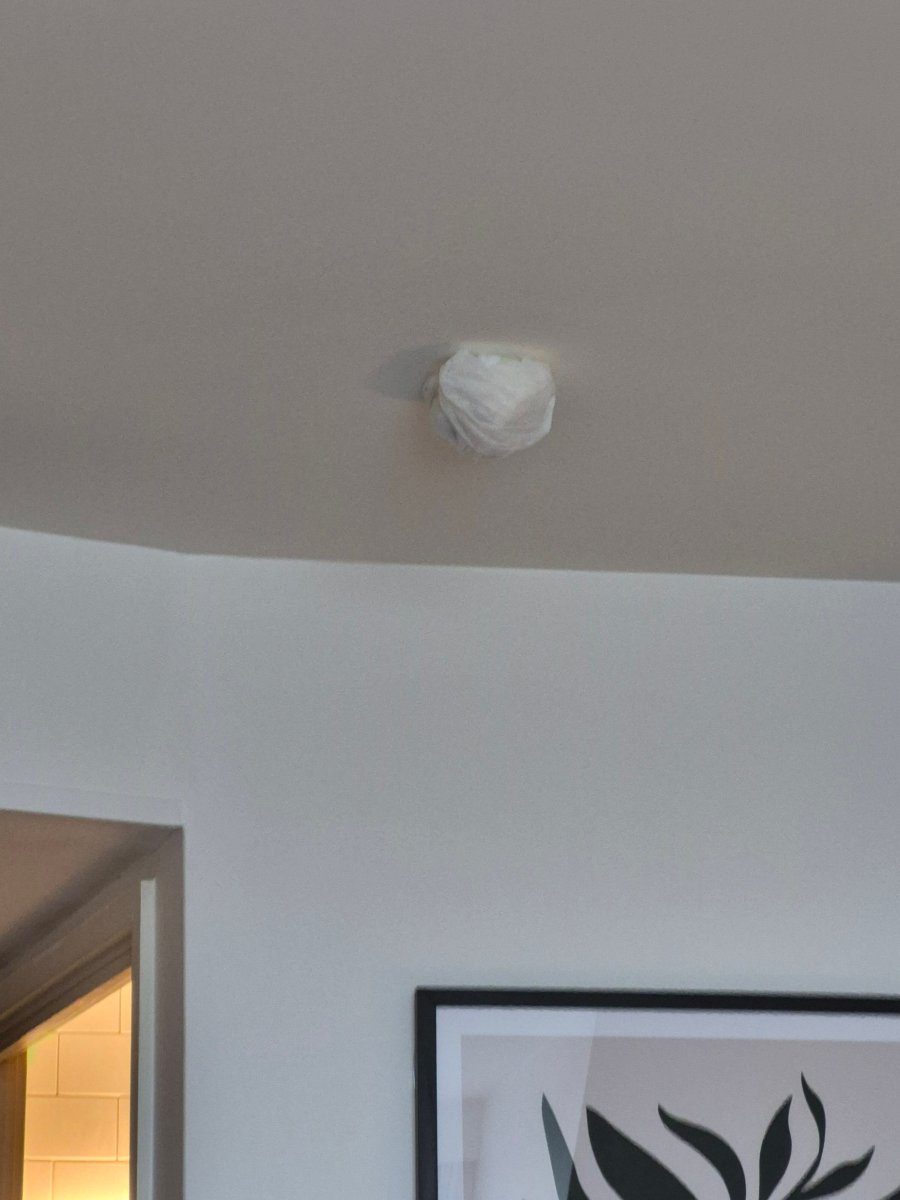 阿什福德北部A20假日酒店-客卧