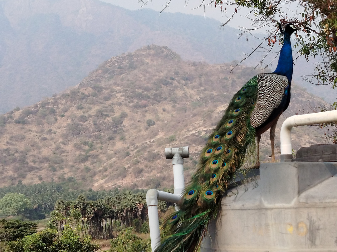 Cardamom House主图