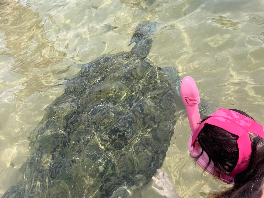 At Ease Sri Lanka - Tours & Transport-Dodanduwa必去景点