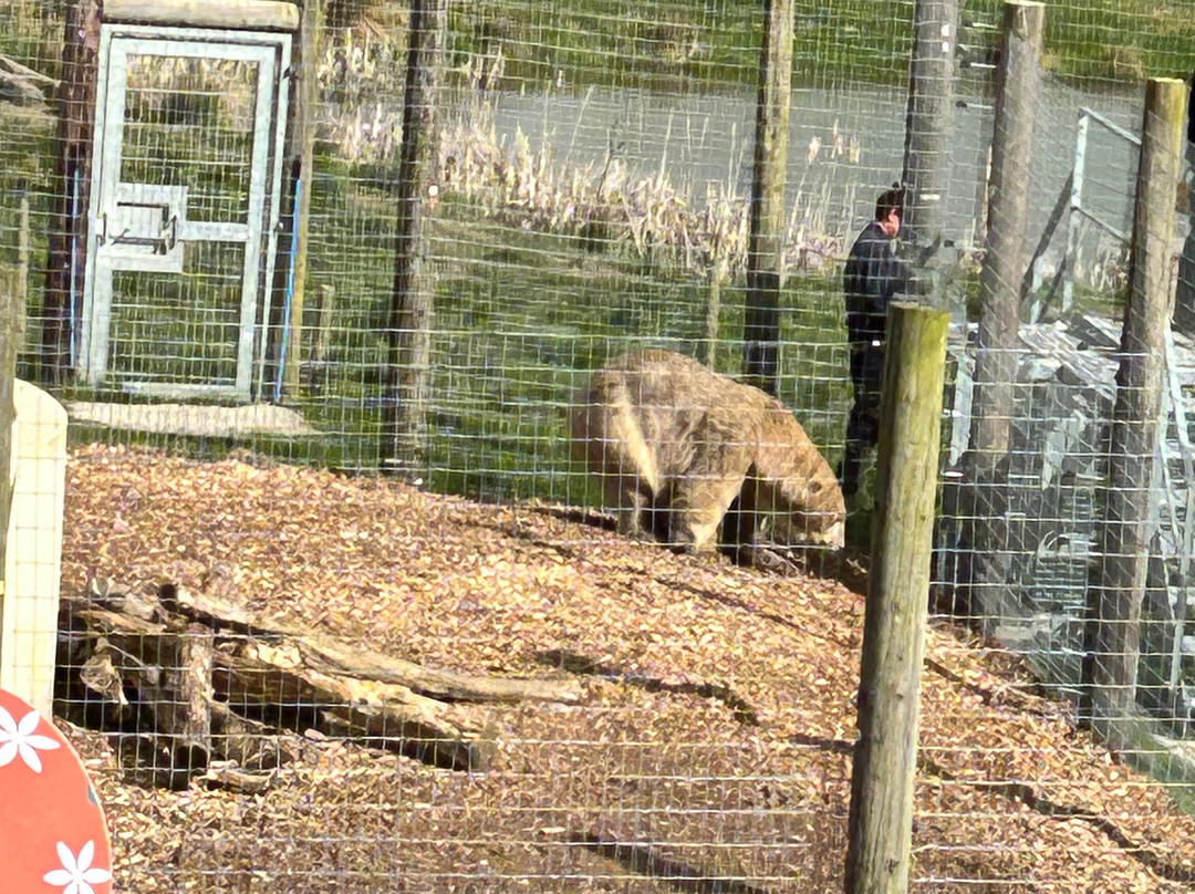 Jimmy's Farm & Wildlife Park-伊普斯威奇必去景点