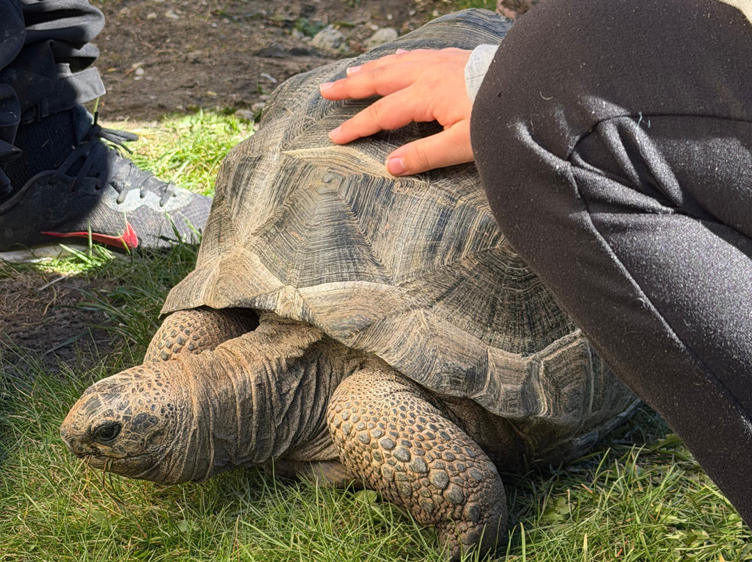 Pangea Park-Bjaeverskov必去景点