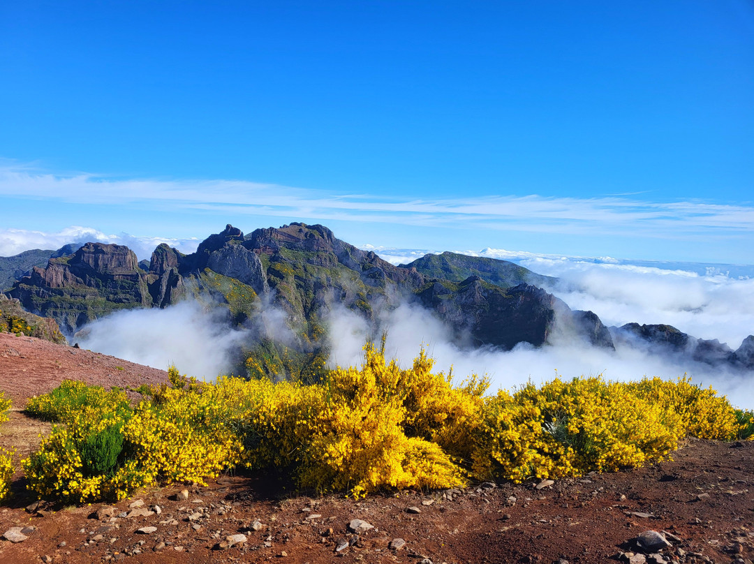 Pico do Arieiro-沙尔必去景点