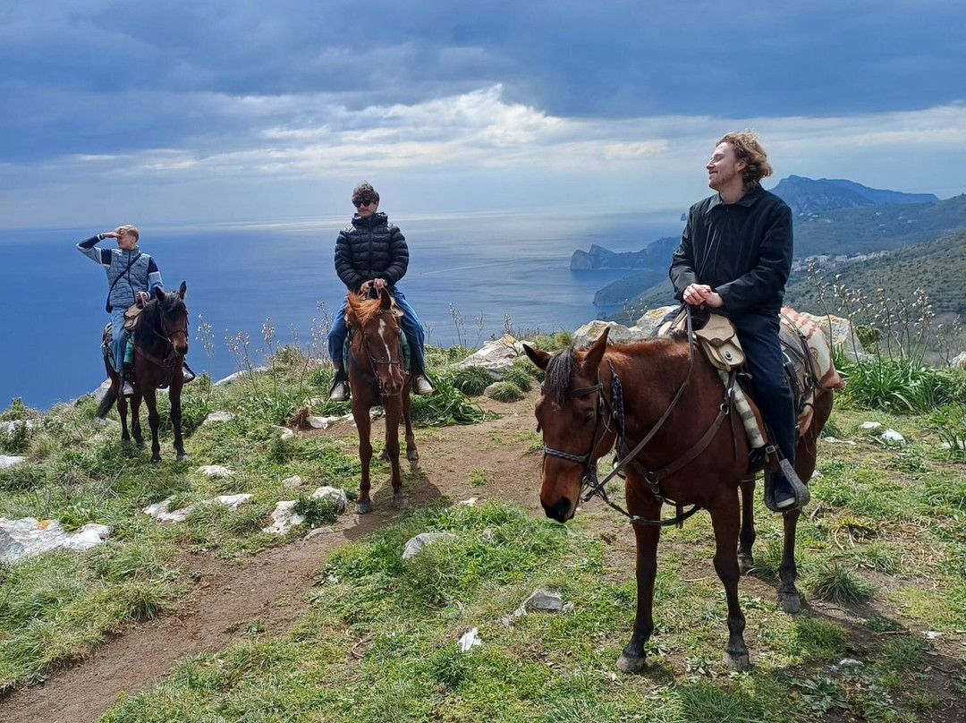 Horse Horizons (Orizzonti a cavallo)-马萨卢布伦塞必去景点