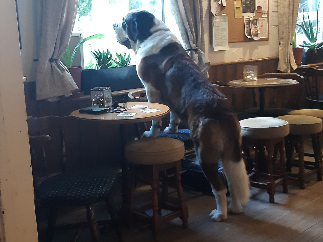 The Broomfield Tavern-考文垂必去景点