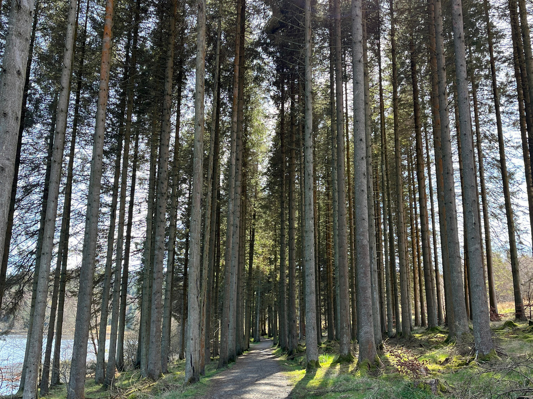 Landal Kielder Waterside-Kielder必去景点